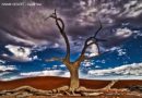 Historia jednego zdjęcia – Pustynia Namib; Dead Vlei i światło
