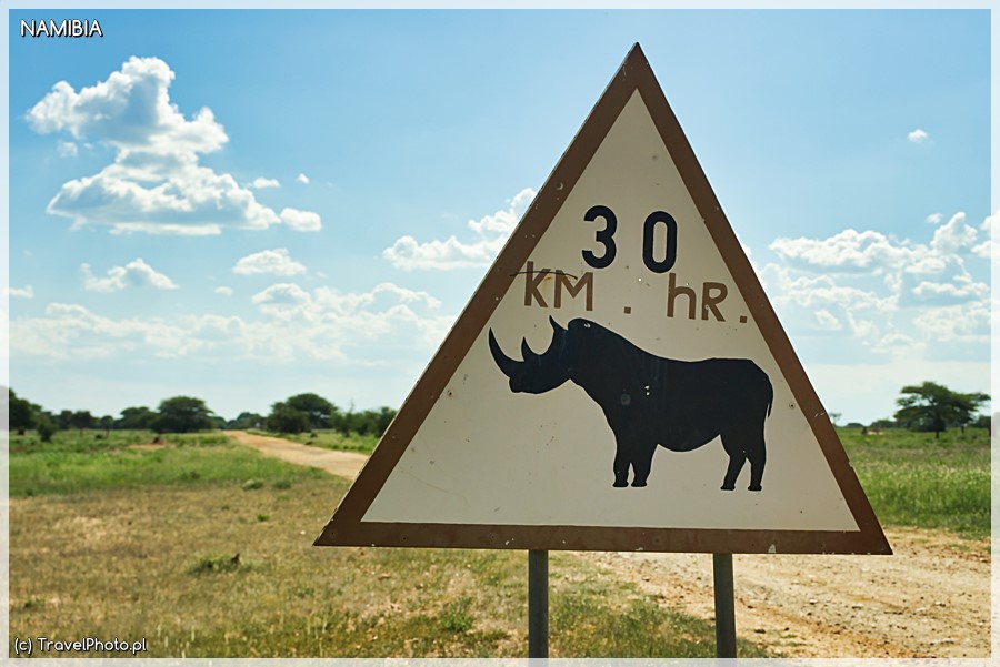Na farmie są nosorożce!