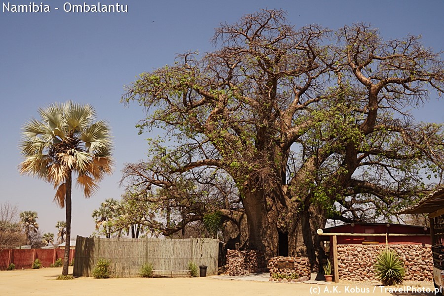 Murek przy drzewie to zabytek z czasów RPA, ale nie dodaje uroku temu miejscu.