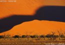 Pustynia Namib. Dolina Sossusvlei – Martwa Rzeka