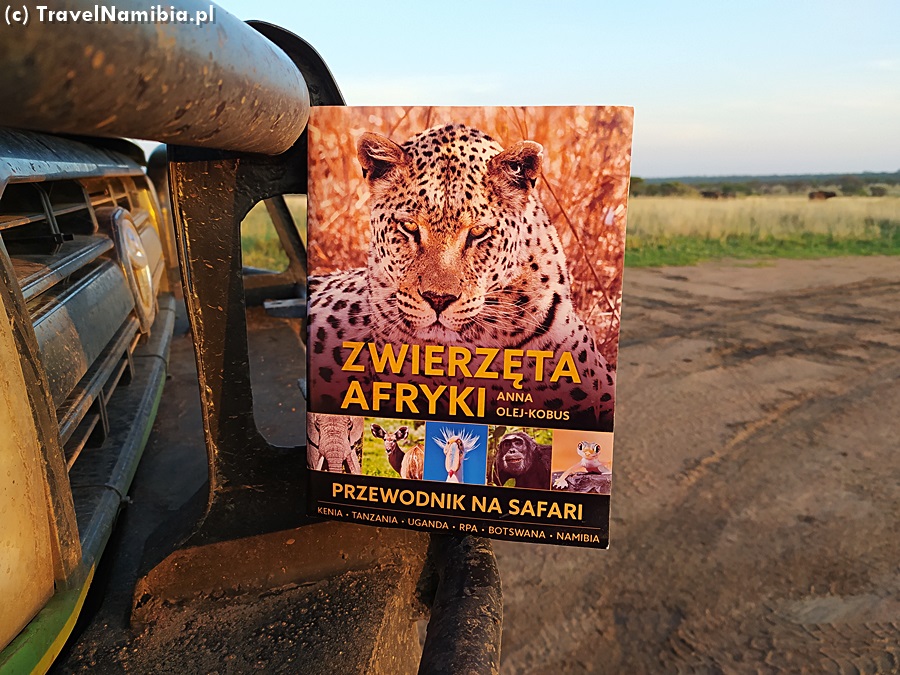 "Zwierzęta Afryki. Przewodnik na safari" - tę książkę warto zabrać w podróż!